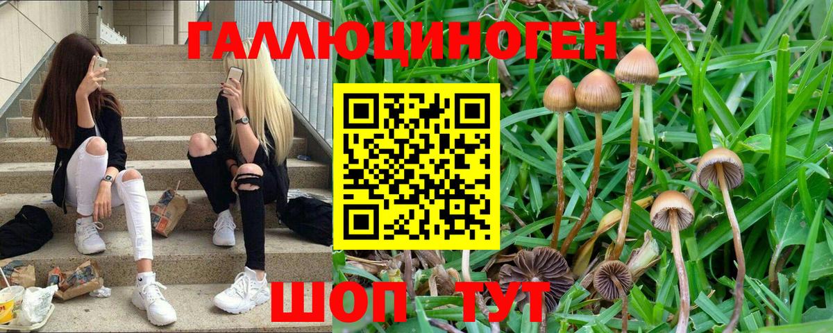 Псилоцибиновые грибы MAGIC MUSHROOMS Гатчина