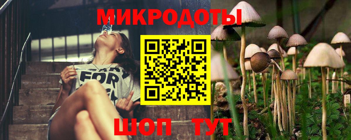Гатчина  Псилоцибиновые грибы Psilocybine cubensis  Вход с VPN  Псилоцибиновые грибы GOLDEN TEACHER 